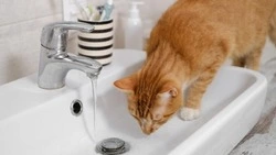 Сотни жителей Южно-Сахалинска проведут 13 января без тепла и горячей воды