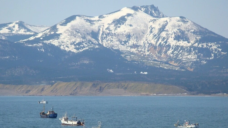 Немецкий журналист заявил, что Россия окончательно закрыла вопрос Курил в споре с Японией