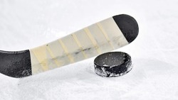 Старт хоккейного сезона объявили «Сахалинские Акулы». «Команда готова на 95%»