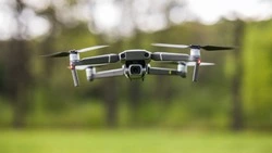 Как беспилотники помогают защищать сахалинские леса