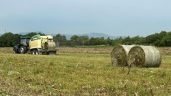 На Сахалине заготовят более 200 тысяч тонн сена