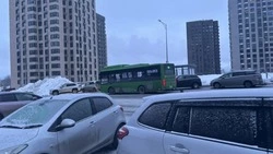  Прямому маршруту — быть? Южно-сахалинский «Уюн парк» могут связать с центром новым автобусом