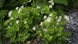 Приметы обо всем на 22 июня 2023 года: что можно и нельзя делать в этот день