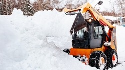 Зооботанический парк Южно-Сахалинска временно закрыли из-за непогоды