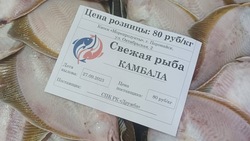 Свежую рыбу по низким ценам доставили в четыре района Сахалинской области 28 сентября