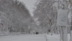На севере Сахалина День Победы встретили со снежными сугробами