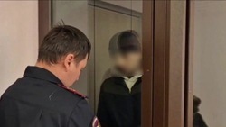 Суд отправил в СИЗО мигранта, который сбил на полном ходу 15-летнюю сахалинку