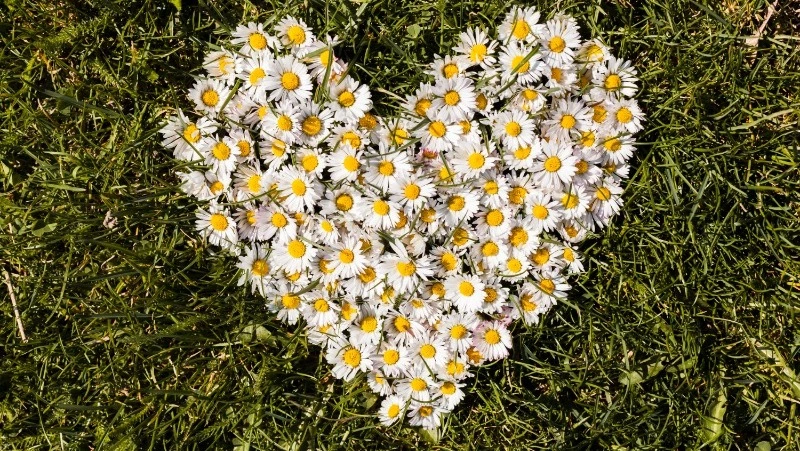 Какой сегодня день? Праздники, памятные даты 8 июля 2025 года