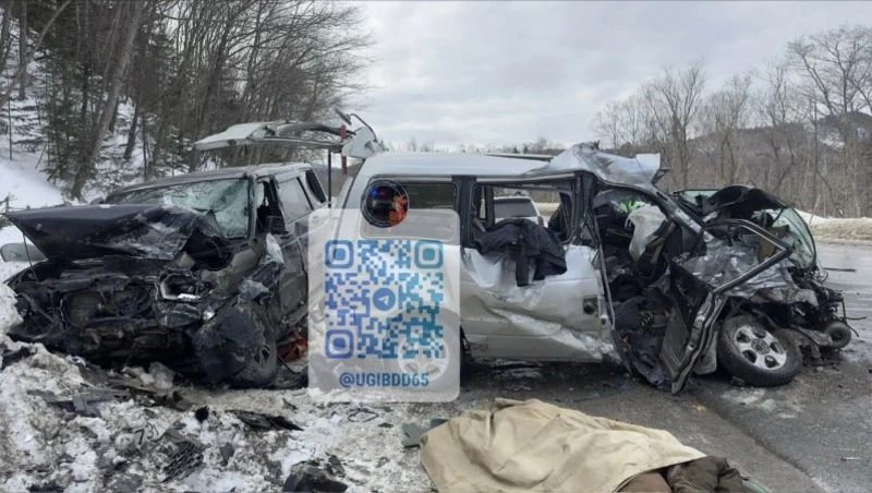 Водитель за рулем Toyota насмерть разбился в Анивском районе