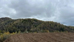 «Белая сова» расширяет границы