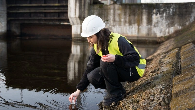 Курильскую компанию обязали пройти государственную экологическую экспертизу