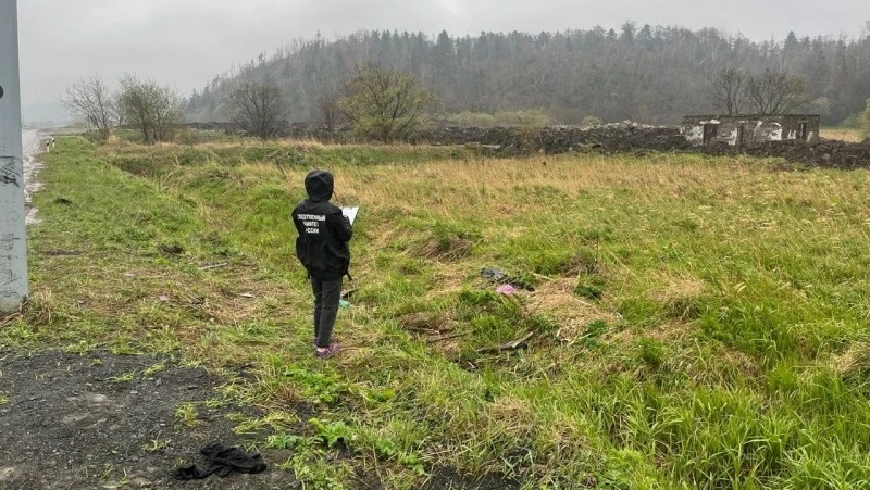 Следователи возбудили уголовное дело после пьяного смертельного ДТП в Холмском районе