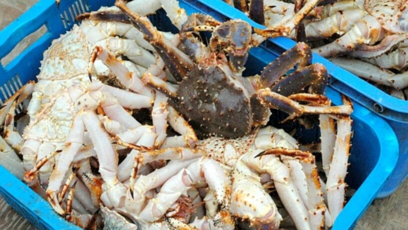 У крупнейшего на Сахалине рыбокомбината «Островной» партнеры высудили 74 млн рублей