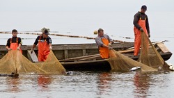 Правительство обещает помочь рыбной отрасли на Дальнем Востоке
