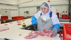 Новый цех в Южно-Сахалинске перерабатывает до 20 тонн мяса в день