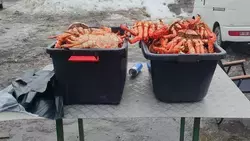 Продавщица из Взморья лишилась 22 крабов после визита полиции