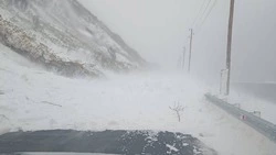 Лавина сошла на дорогу между двумя селами в Невельском районе