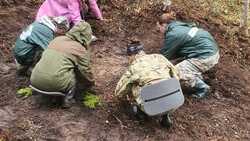 Останки убитого солдата нашли на севере Сахалина