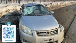 Водитель пострадала при опрокидывании автомобиля в Южно-Сахалинске