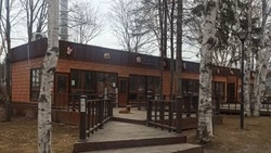 В городском парке Южно-Сахалинска бродячие собаки заняли фуд-корт