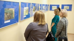  Выставка «Рисунки оленевода» открылась в Корсакове