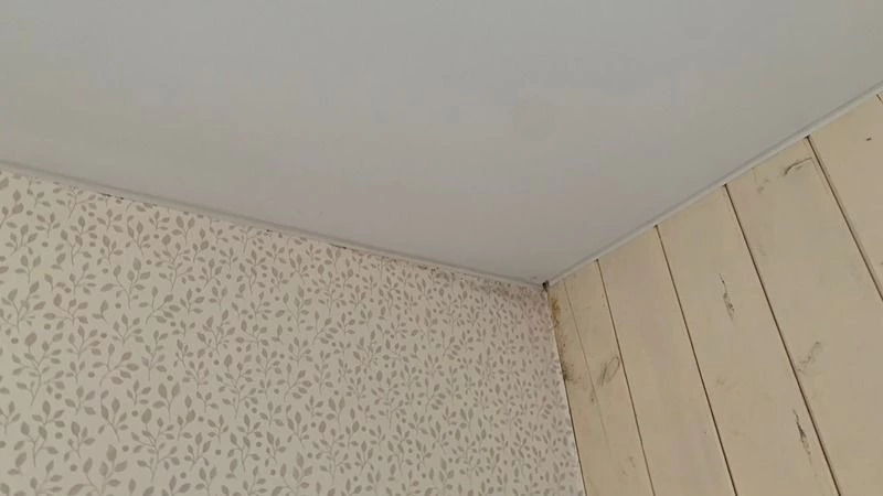 Домом с плесенью в Южно-Сахалинске заинтересовалась прокуратура