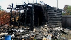 Мужчина погиб при пожаре в СНТ «Березка»