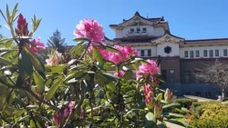 Более 600 млн рублей направят на развитие культуры в Сахалинской области