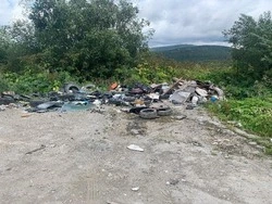 Стихийная свалка выросла  недалеко от техникума в Южно-Сахалинске            