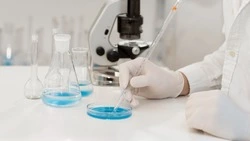 Рыбная мука с Сахалина оказалась токсичной