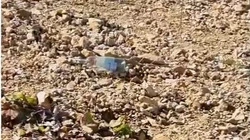 «Мы — свиньи»: сахалинцы призвали людей не мусорить на «Горном воздухе»