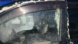 «Лает и скулит»: на юге Сахалина собаку на сутки закрыли в автомобиле