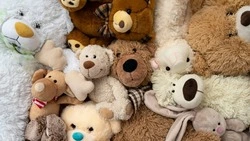 На Сахалине продавцы плачущих золотыми слезами кукол платят штрафы до 70 тысяч рублей