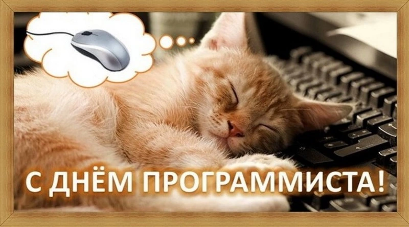 С Днем программиста 2024: красивые и прикольные картинки