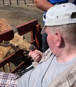 Пожилые инвалиды Южно-Сахалинска погладили пятнистых оленей на экоферме