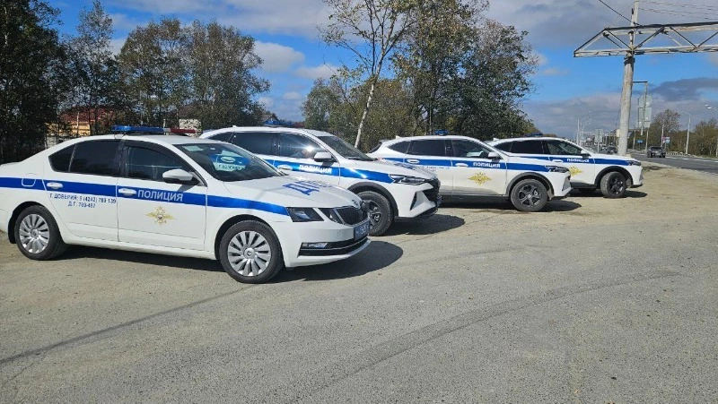 Сотрудники ГАИ на Сахалине за сутки задержали 17 водителей без прав