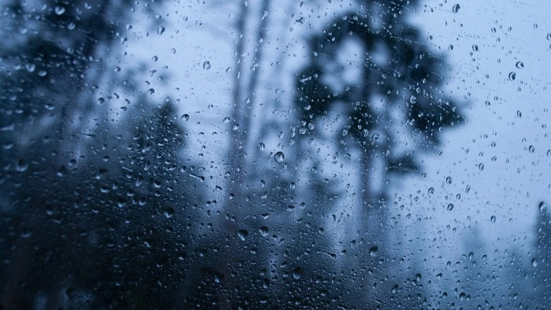 Синоптики прогнозируют дождливую погоду в Сахалинской области 2 июля 