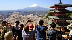 В Японии не знают, что делать с туристами, которые массово едут любоваться сакурой 
