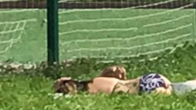 Сахалинцев возмутили полуголые люди, загорающие рядом со школой