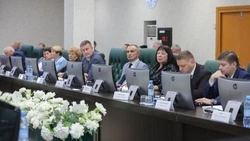 Транспортную доступность и ремонт дорог обсудили в Сахалинской облдуме