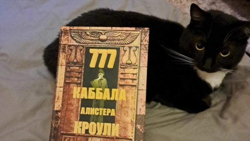 Кузбассовец продает «волшебного» кота с его личными вещами за 777 777 рублей
