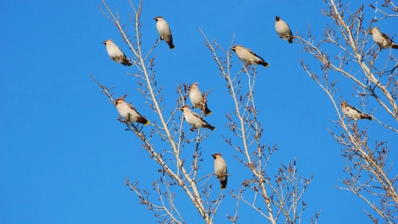 Сахалинскую область ждет дождливая неделя после теплых выходных