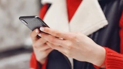 Минцифры вновь обновило «белый список» сайтов и сервисов