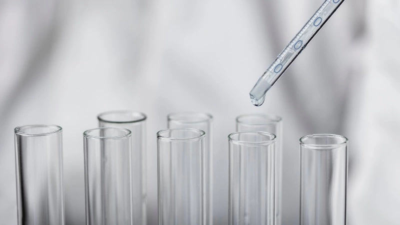 В Индии зафиксировали вспышку вируса Нипах