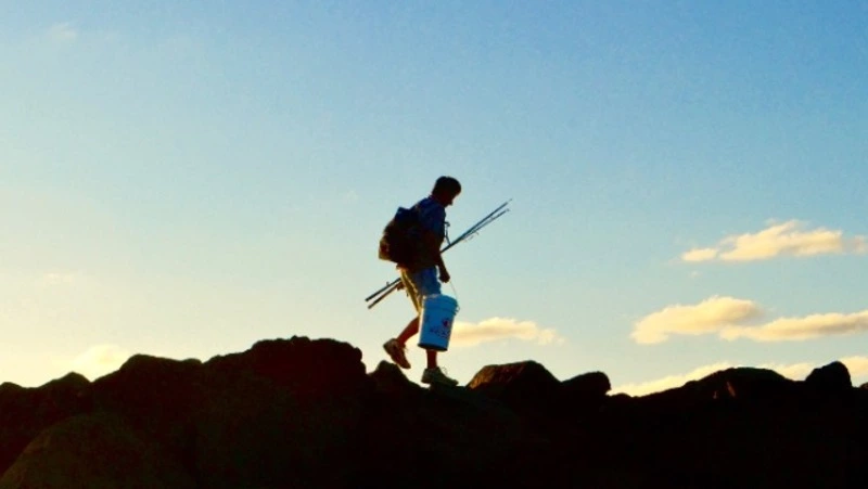 Житель Углегорска ответит в суде за летнюю рыбалку в 2022 году