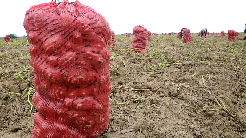 Ноша частника стала легче