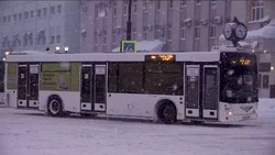 Мэрия Южно-Сахалинска: циклон затянется на три дня 