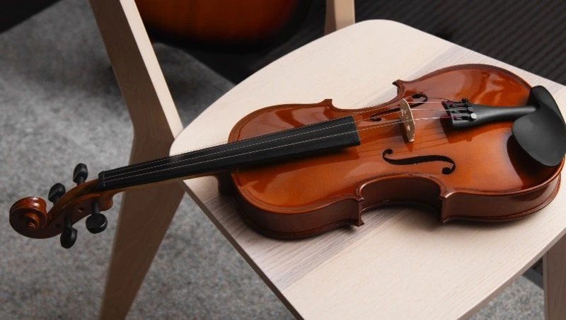 Прокуроры заставили детскую школу искусств в Смирных купить новые инструменты