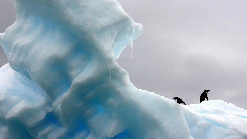 Глобальное потепление даст России дешевый морской путь