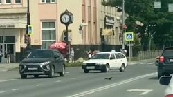 Видео с бегающей белкой по дороге в центре Южно-Сахалинска опубликовали в соцсетях 
